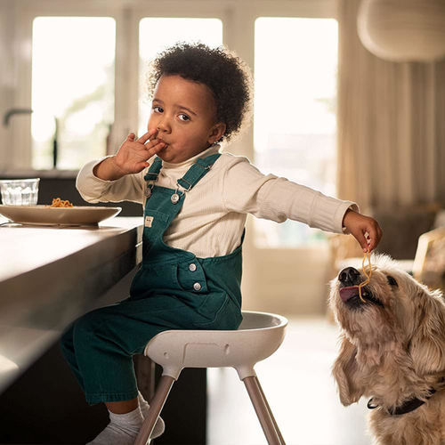 Trona convertible con 8 funciones Maxicosi Moa